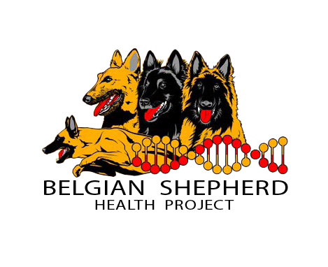 Logo des BSD_Health_Project